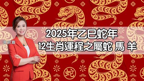 蛇年運程|蛇年12生肖運程｜蘇民峰師傅：「屬蛇」雖然犯太歲，但逢凶化 